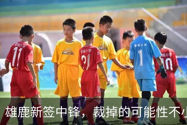 雄鹿新签中锋，裁掉的可能性不小？